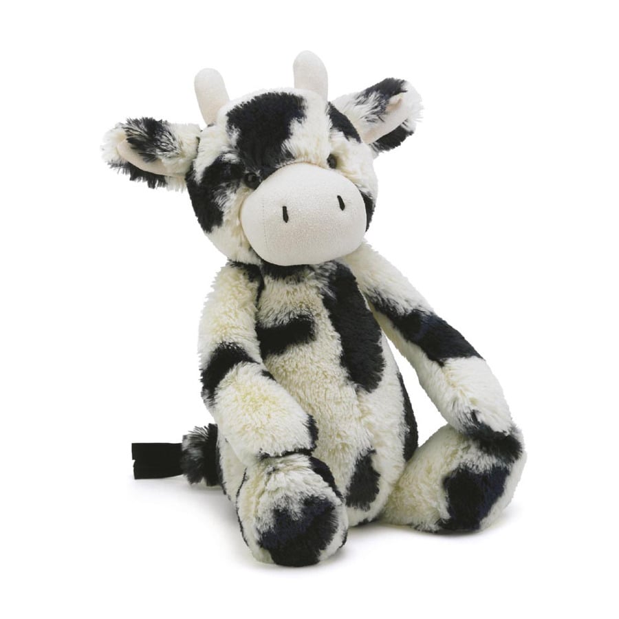 Bashful calf Med