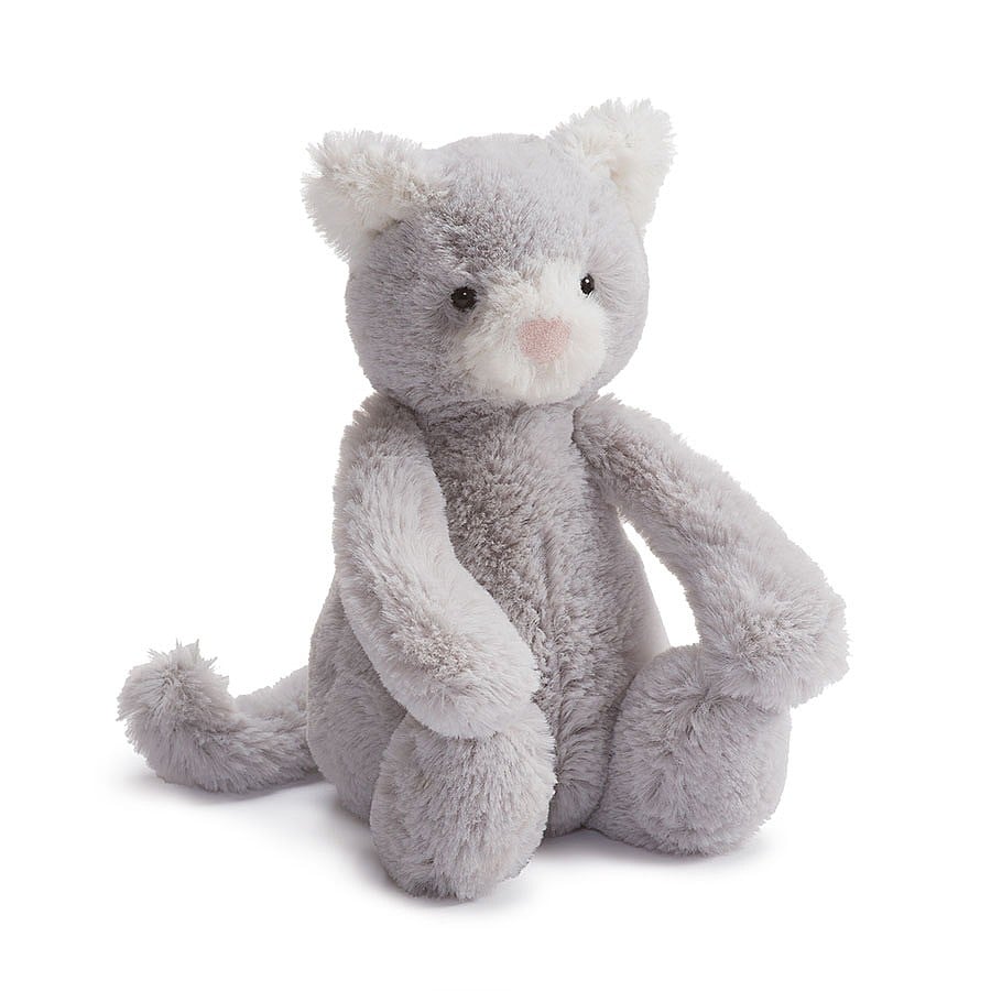 Bashful Gray Kitten Meduim