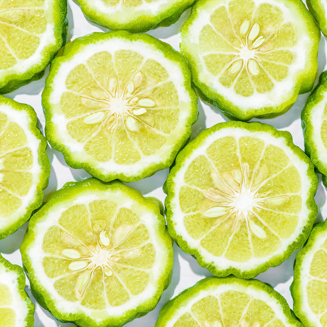 Havana Travel Tin Candle