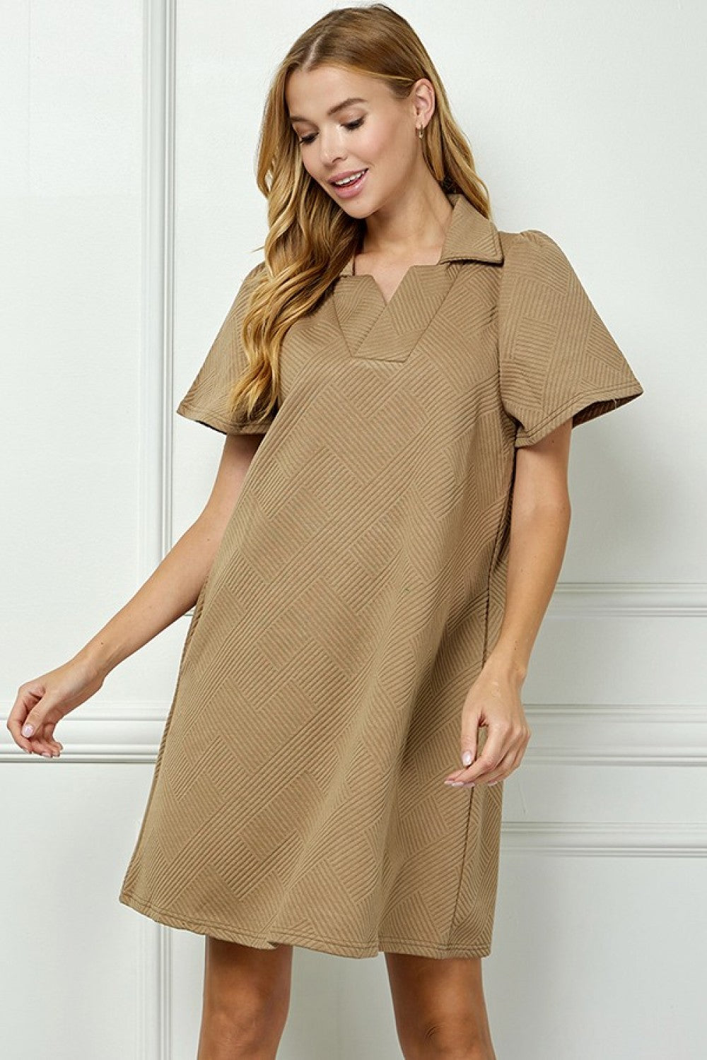 Textured Collard Dress 2