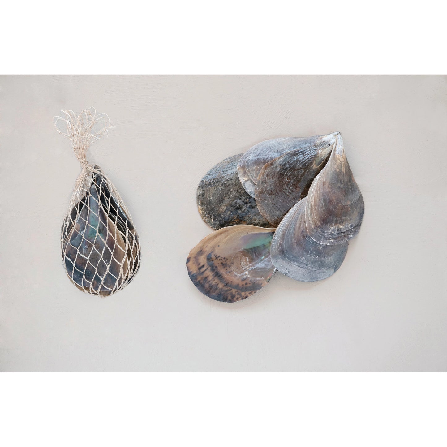Pen Clam Shells in Bag