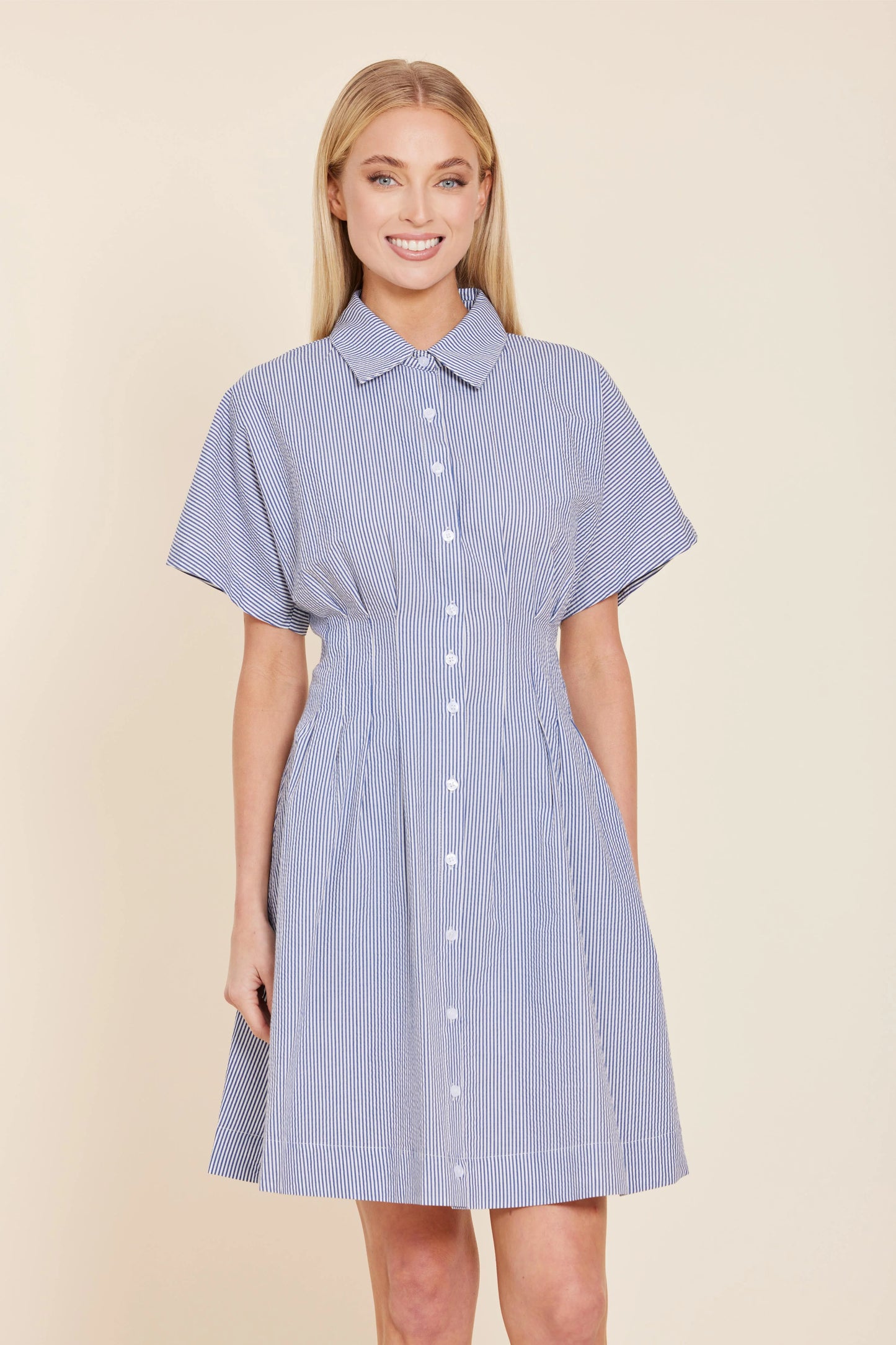 Stripe Dart Waist Dress