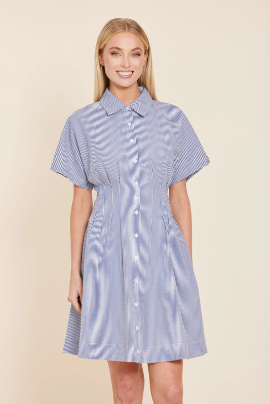 Stripe Dart Waist Dress