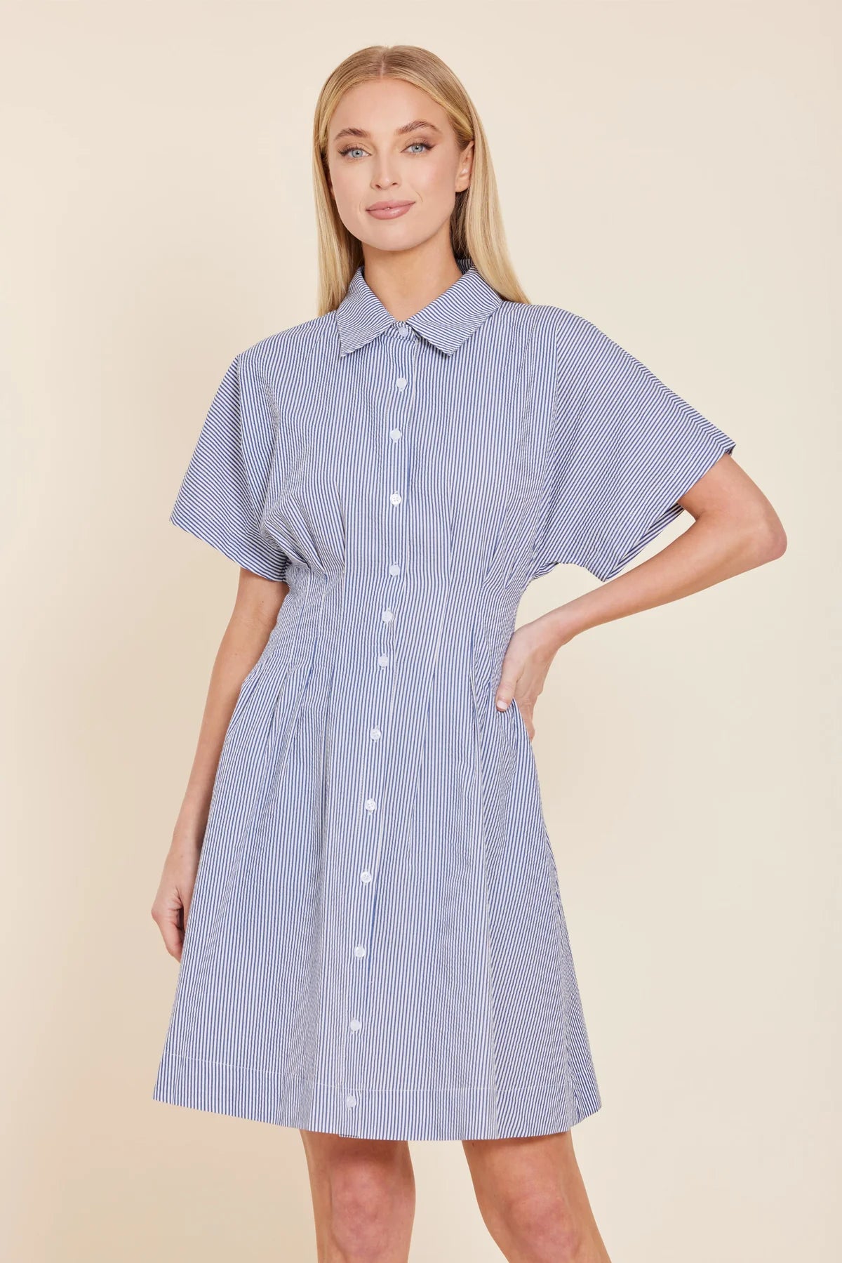 Stripe Dart Waist Dress