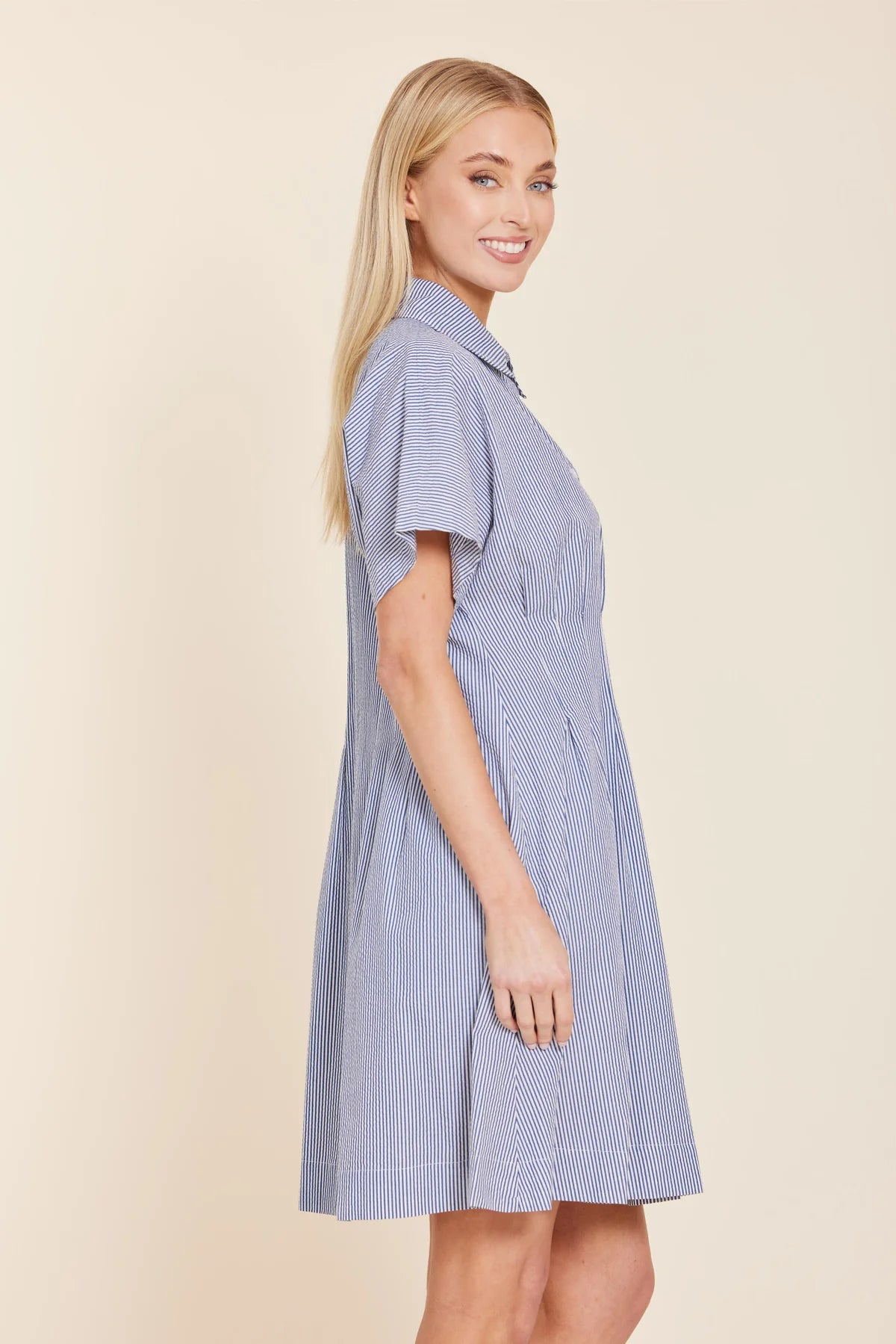 Stripe Dart Waist Dress