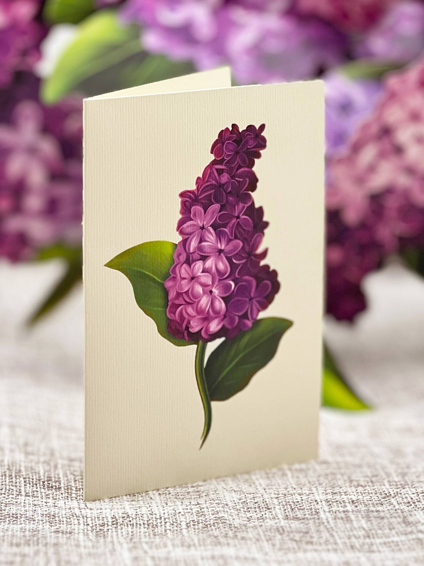 Garden Lilacs (8 Pop-up Greeting Cards)