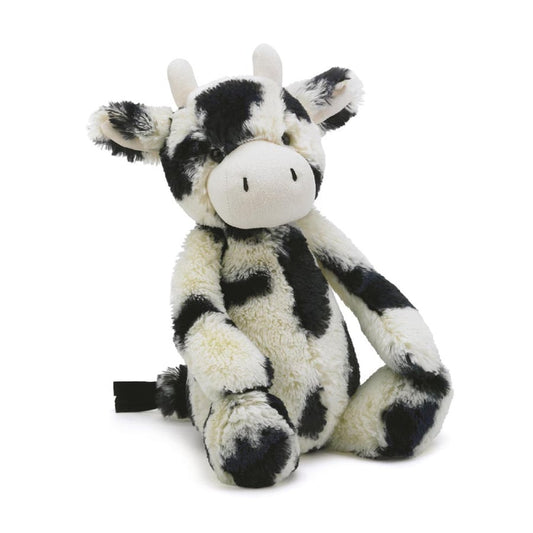 Bashful calf Med