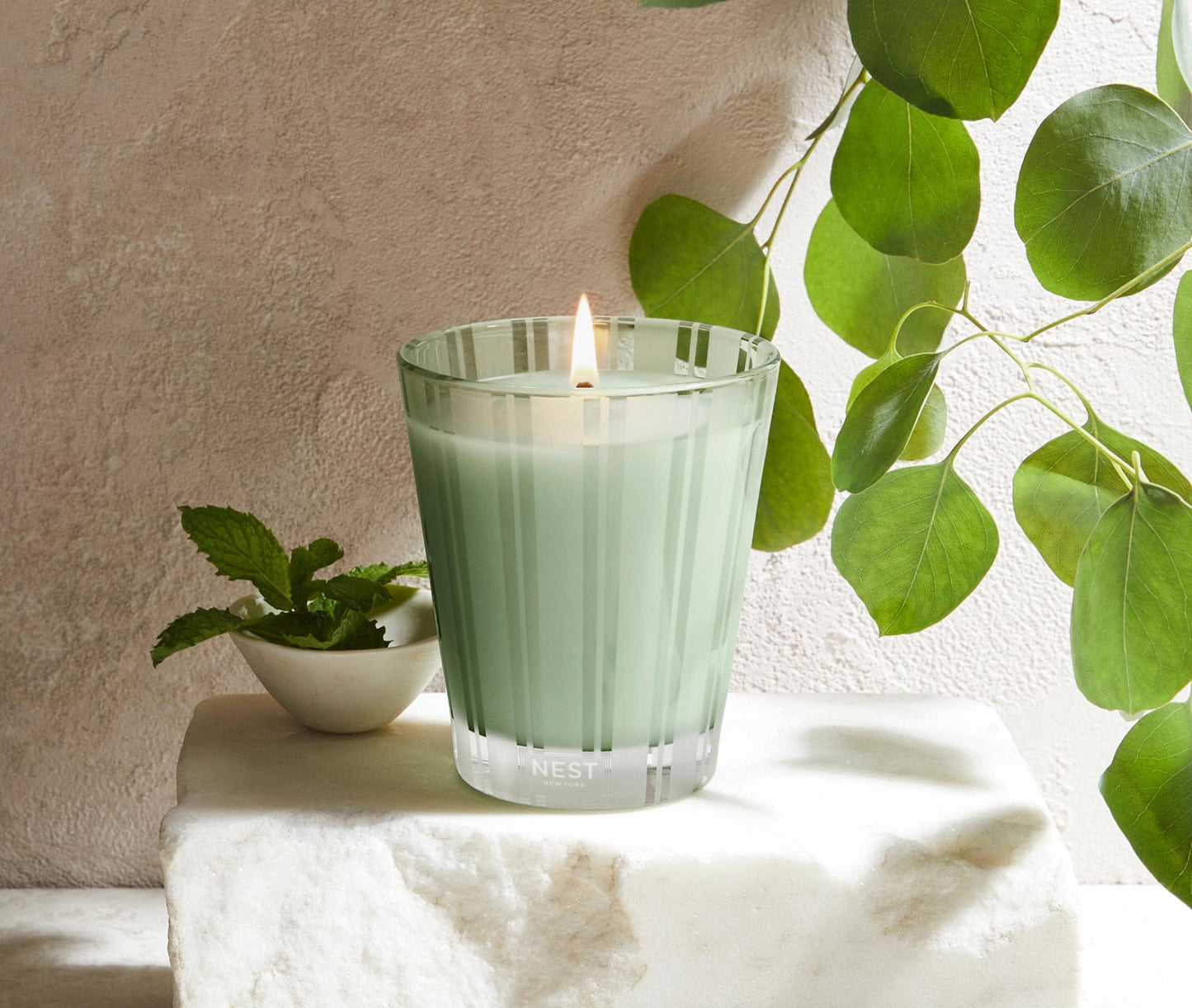 Wild Mint & Eucalyptus Classic Candle