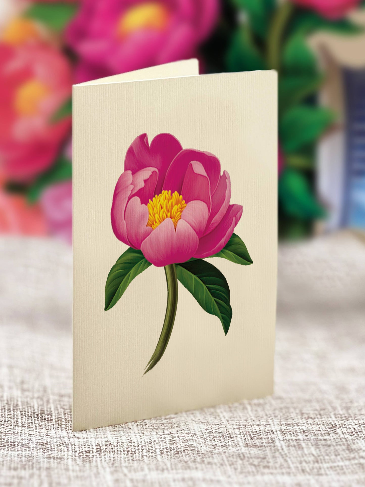 Peony Paradise (8 Pop-up Greeting Cards)