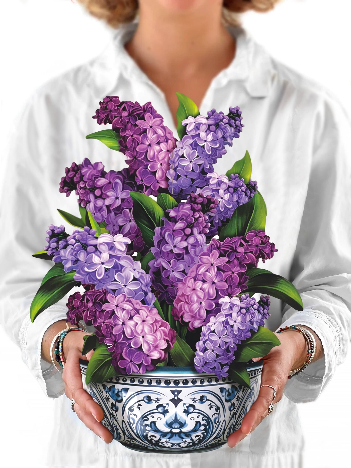 Garden Lilacs (8 Pop-up Greeting Cards)