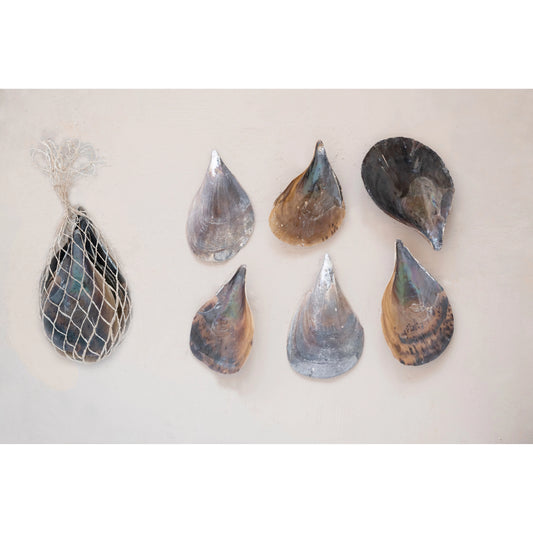 Pen Clam Shells in Bag