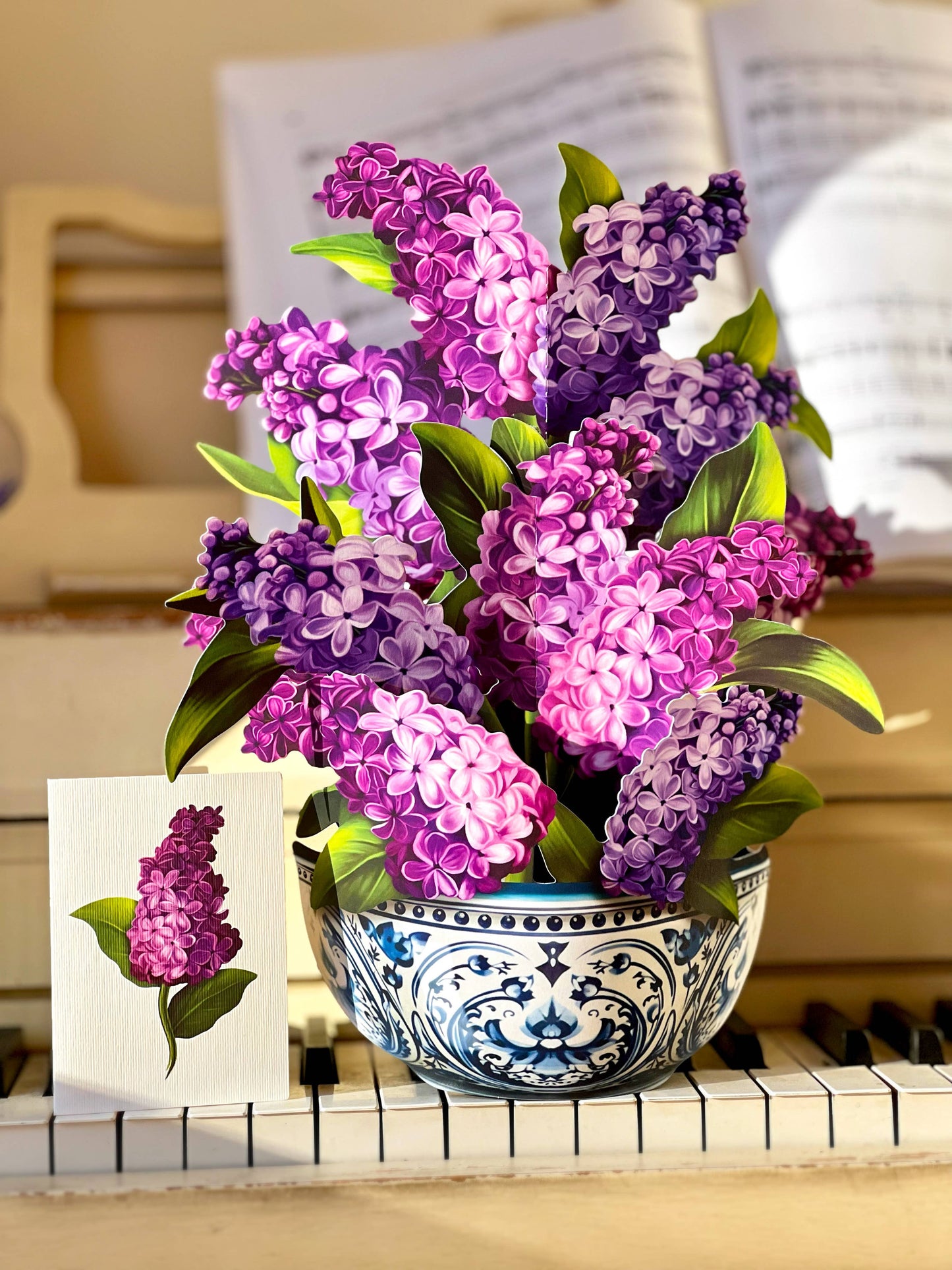 Garden Lilacs (8 Pop-up Greeting Cards)